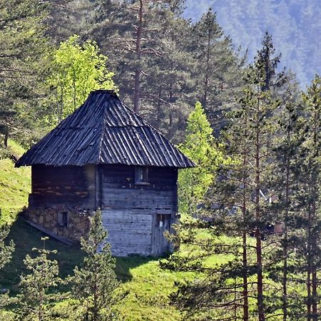 Sedmica Zlatibor Vip Bogicアパートメント エクステリア 写真