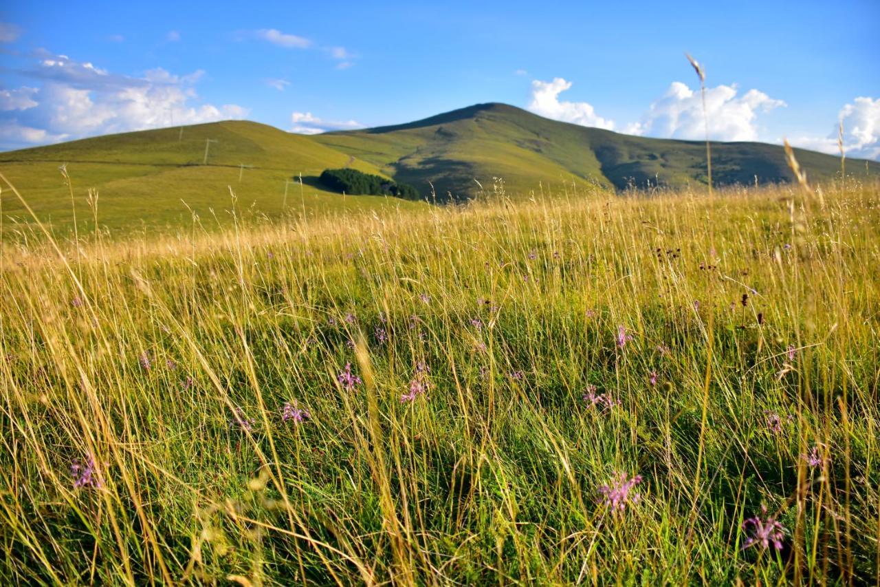 Sedmica Zlatibor Vip Bogicアパートメント エクステリア 写真