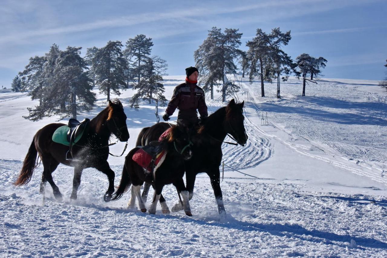 Sedmica Zlatibor Vip Bogicアパートメント エクステリア 写真
