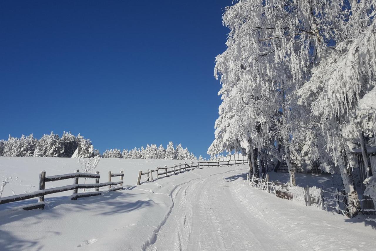 Sedmica Zlatibor Vip Bogicアパートメント エクステリア 写真