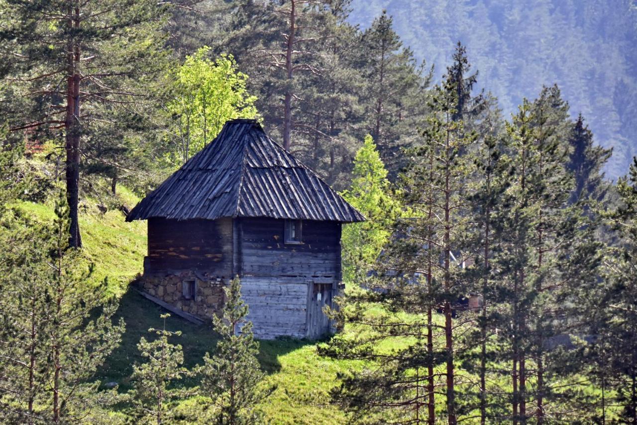 Sedmica Zlatibor Vip Bogicアパートメント エクステリア 写真